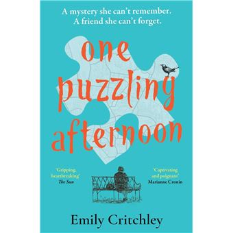 One Puzzling Afternoon