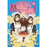 Kaichou wa maid sama 14