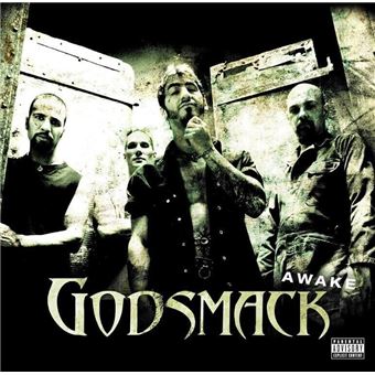 Awake - 2 Vinilos