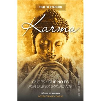 Karma. Qué es, qué no es, por qué es importante - 1