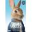 Peter Rabbit: ¿Quién manda en este jardín?_0