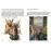 Peter Rabbit: ¿Quién manda en este jardín?_3