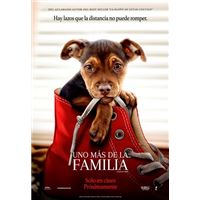 Uno más de la familia - DVD