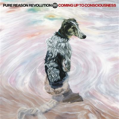 Default Constructor Coming Up To Consciousness - Cd