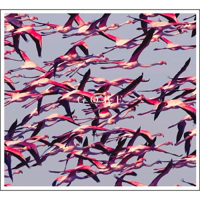Deftones Unisex Blanco Lp De - Gore - Para Sin Clasificar - Imagen 2