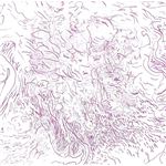 Voices of Bishara - CD