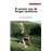 El Extraño Cine De Yorgos Lanthimos