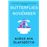 Butterflies in November_0