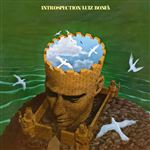 Introspection - Vinilo