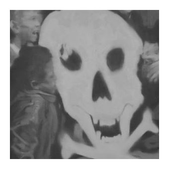 Crisis Kid - Vinilo