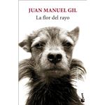 La Flor Del Rayo