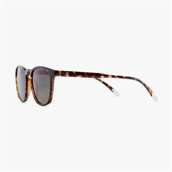 Gafas Barner Dalston Glossy Tortoise Sun - 1