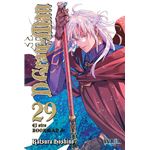 D Gray Man 29