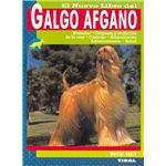 Galgo afgano