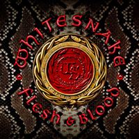 Flesh & Blood - CD + DVD