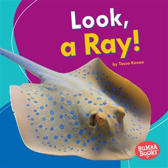 Look, a Ray! - 1