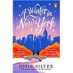 A Winter In New York