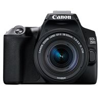 Cámara réflex Canon EOS 250D + 18-55IS STM Negro