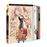 Naruto Shippuden Box18 (Capítulos: 462 al 500 - DVD
