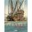Piratas de barataria integral 2