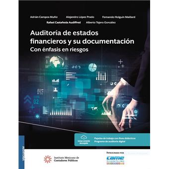 Auditoría de estados financieros y su documentación. Con énfasis en riesgos - 1