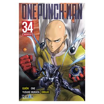 One Punch Man 34