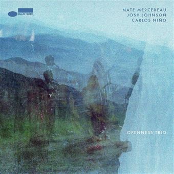 Openness Trio - Vinilo