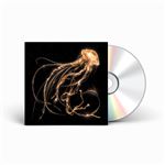 Back to the Water Below - CD