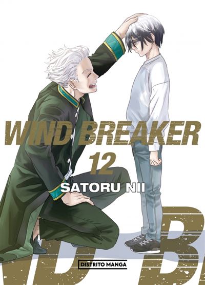 その他 WIND.BREAKER Wind Breaker 12 (Shônen) - Satoru Nii -5% en libros | Fnac