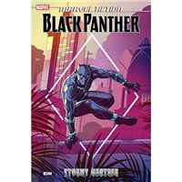 Marvel - Black Panther - Stormy Weather