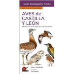 Aves De Castilla Y Leon-Guias Desplegables Tundra