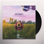 Intermittent Fast Living - Vinilo