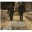 Red Dirt - CD