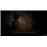 Fatal Frame II: Crimson Butterfly Remake PS5