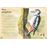 El majestuoso libro de las aves
