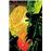Batman 148