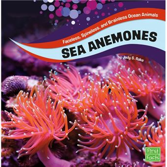 Sea Anemones - 1