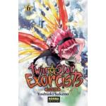 Twin star exorcists 6