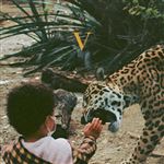 V - CD