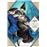 Atelier of witch hat 6-ed limitada_0