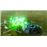 Destroy All Humans! Nintendo Switch 2
