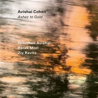 Ashes to Gold - Vinilo