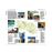 DK Eyewitness Travel Guide - Florida_4