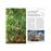 DK Eyewitness Travel Guide - Florida_6