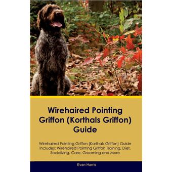 Wirehaired Pointing Griffon (Korthals Griffon) Guide Wirehaired Pointing Griffon Guide Includes - 1