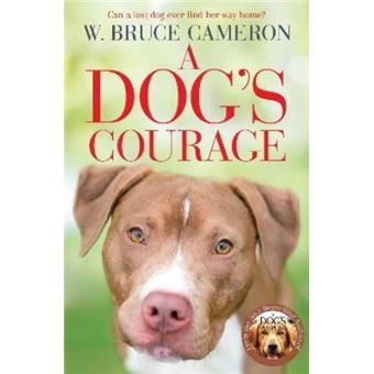 A dog's courage