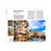 Travel Guide Rome 2020_3