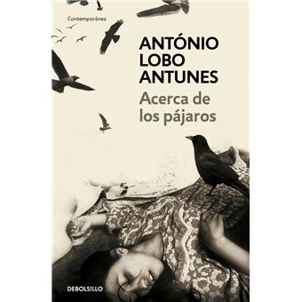 Acerca de los pájaros