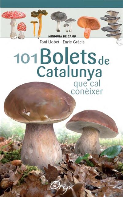 Cossetania 101 Bolets De Catalunya - Toni Llobet François (Autor), Enric Gracia (Autor), Varios Autores (Autor)