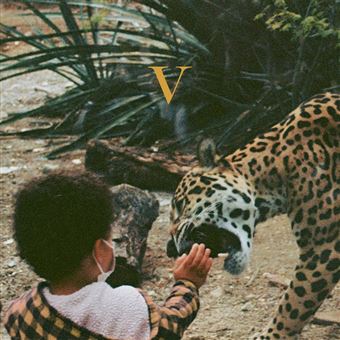 V - 2 Vinilos Dorado